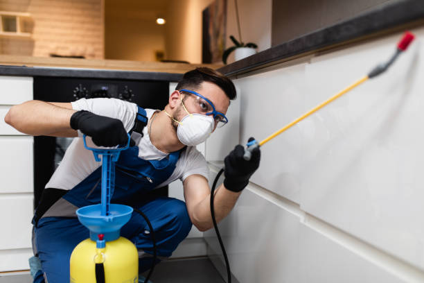 Trusted Robinson, TX Pest Control Experts