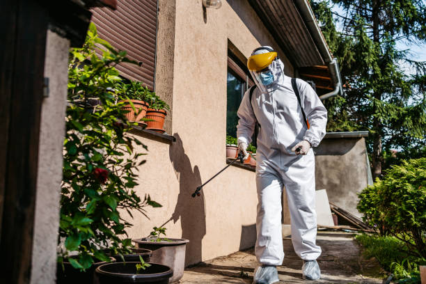 Best Spider Control Near Me  in Robinson, TX
