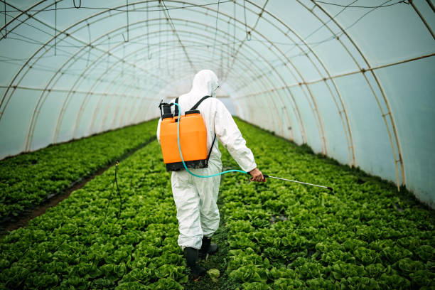 Best Emergency Pest Control  in Robinson, TX