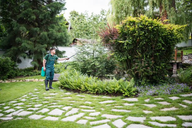 Best Wasp Removal Services  in Robinson, TX