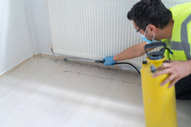 Best Pest Inspection Near Me  in Robinson, TX
