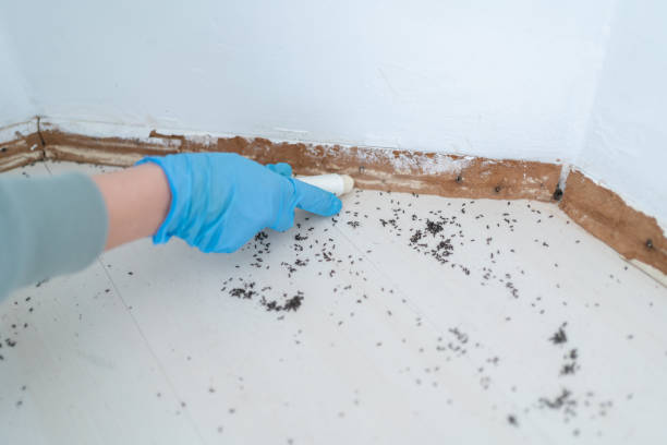 Best Pest Prevention Services  in Robinson, TX