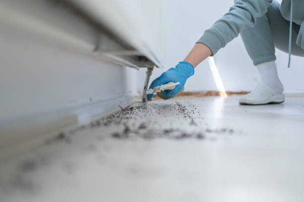 Best Exterminator Services  in Robinson, TX